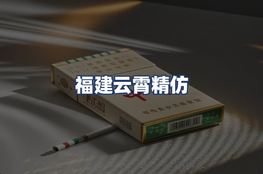 福建云霄精仿